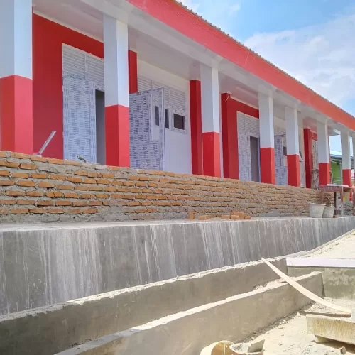 palu 6